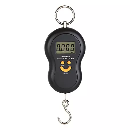 50kg industrial hanging scale - Buy in Nairobi Kenya
